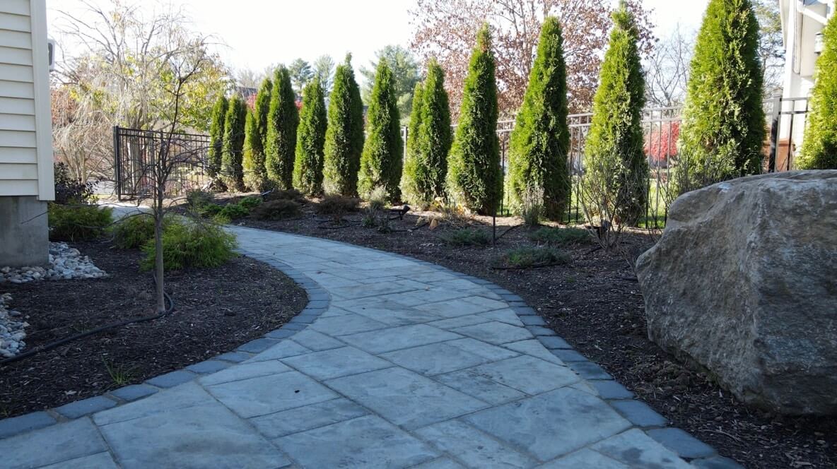 Blog 4 Hardscape walkway lined with tall trees in Broadalbin-Perth